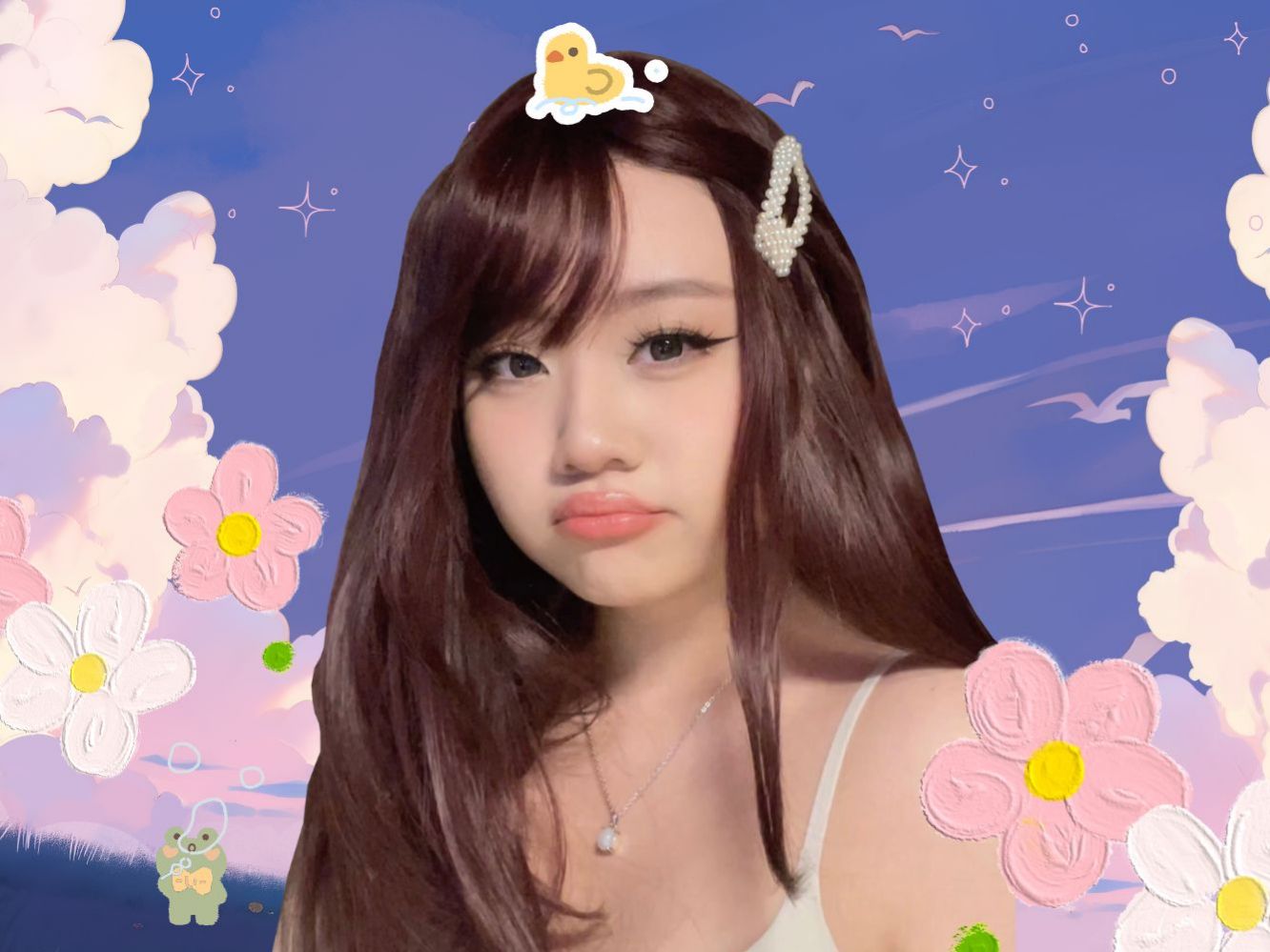 Sky s Profile E Pal Sky s Profile E Pal