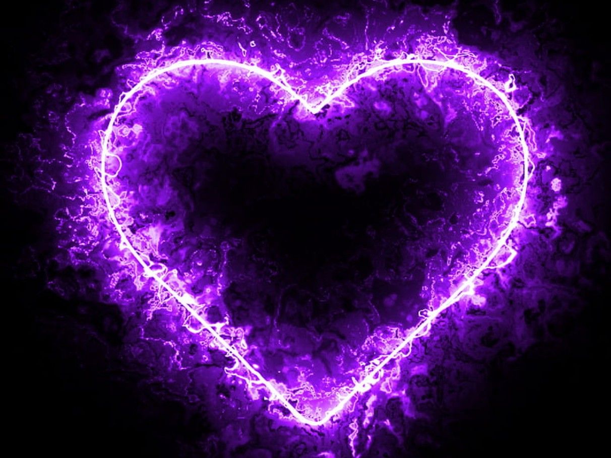 kitten059-s-profile-e-pal