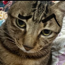 Kuu avatar