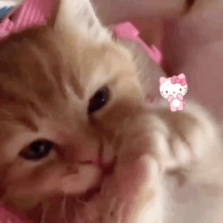 ❥NEKO avatar