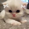 linds avatar