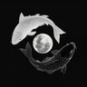 LunariaVT avatar