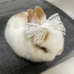 minawyu avatar