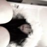 Jenn <3 avatar