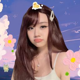 sky ₊˚ෆ avatar