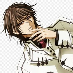 VampireKnight avatar