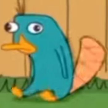 perryelortitoriko | E-Pal