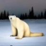 BiP0lar_Bear avatar