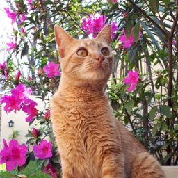 Mia 🌺 avatar