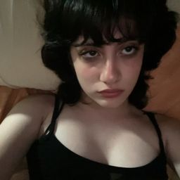 Calistae ૮ ˶ᵔ ᵕ ᵔ˶ ა avatar
