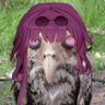 iallis avatar