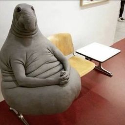 Dumple avatar