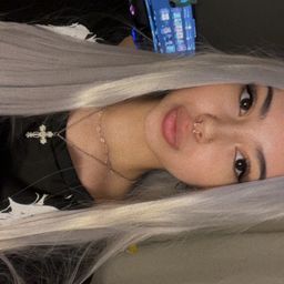 gatitamala avatar