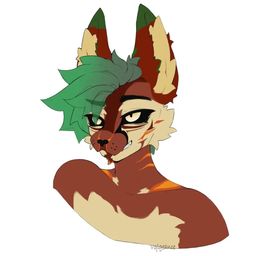 CheeseAndPackers avatar