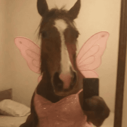 anli avatar