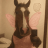 anli avatar