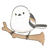 tsunbirb avatar