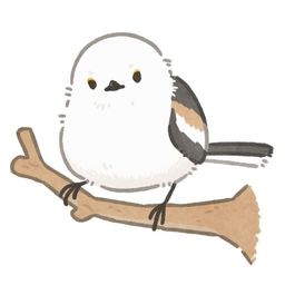 tsunbirb avatar