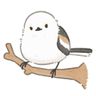 tsunbirb avatar