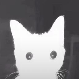 JulsAng avatar