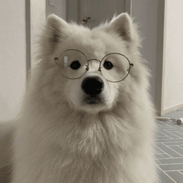 BiscuitPup avatar