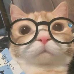 capoccino avatar