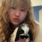 LiittleLace avatar
