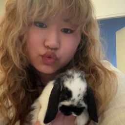 LiittleLace avatar