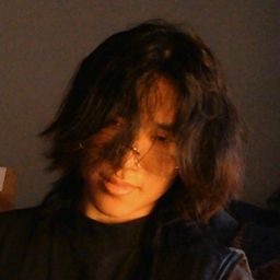 Lenks avatar