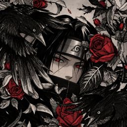 Rarebird avatar
