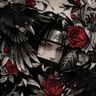 Rarebird avatar
