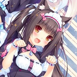 kittymeows avatar